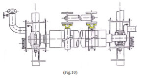 fig ten